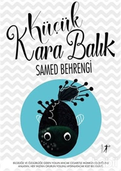 Picture of Küçük Kara Balık
