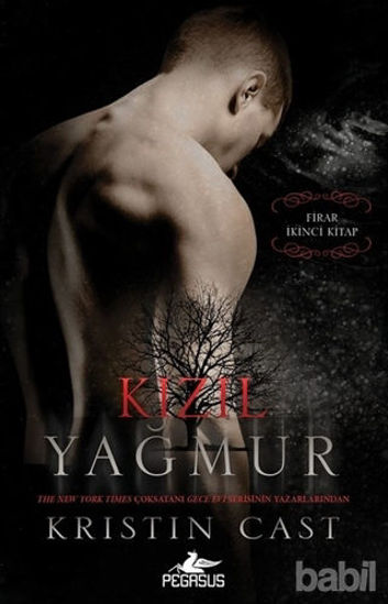 Picture of Kızıl Yağmur - Firar 2.Kitap