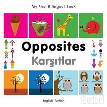 Picture of Opposites - Karşıtlar