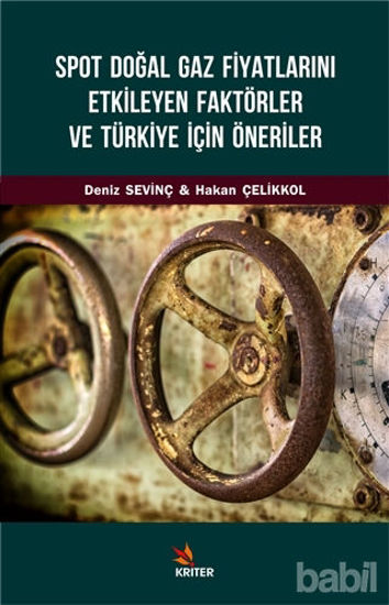 Picture of Spot Doğal Gaz Fiyatlarını Etkileyen Faktörler ve Türkiye İçin Öneriler