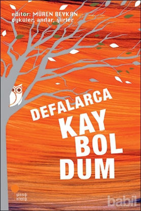 Picture of Defalarca Kayboldum