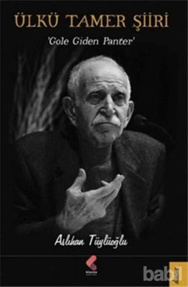 Picture of Ülkü Tamer Şiiri