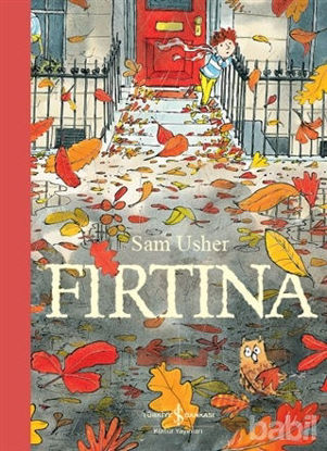 Picture of Fırtına