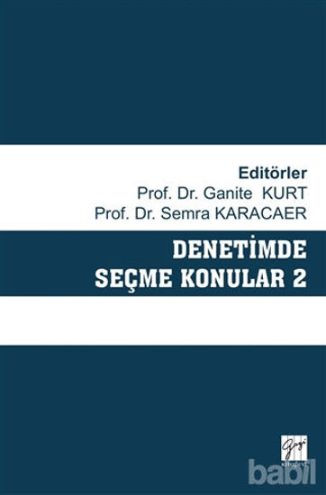 Picture of Denetimde Seçme Konular 2
