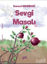 Picture of Sevgi Masalı