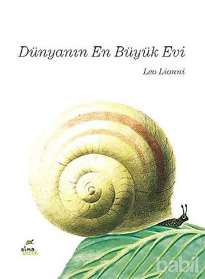 Picture of Dünyanın En Büyük Evi
