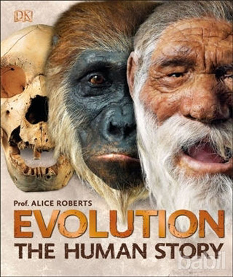 Picture of Evolution