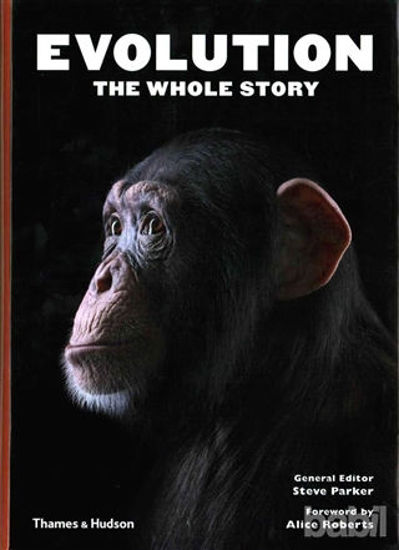 Picture of Evolution: The Whole Story