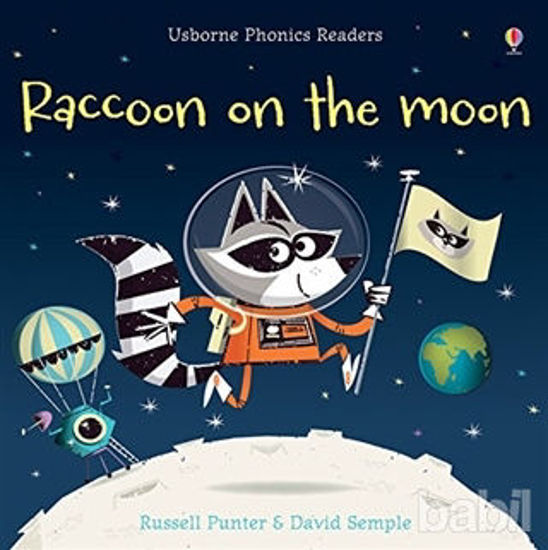 Picture of Raccoon on the Moon (Phonics Readers)