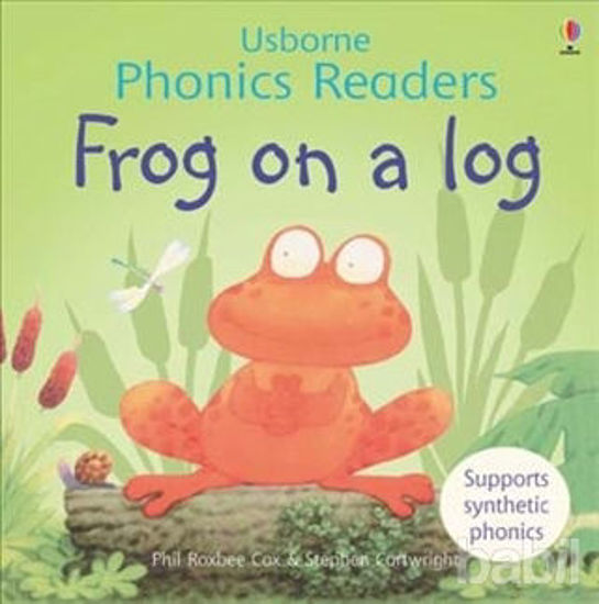 Picture of Frog On a Log