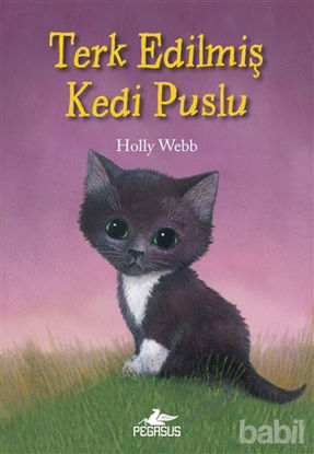 Picture of Terk Edilmiş Kedi Puslu