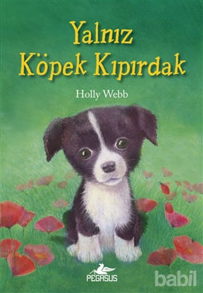 Picture of Yalnız Köpek Kıpırdak