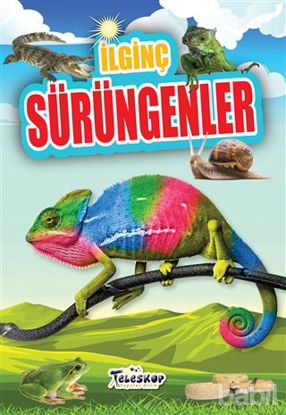 Picture of İlginç Sürüngenler