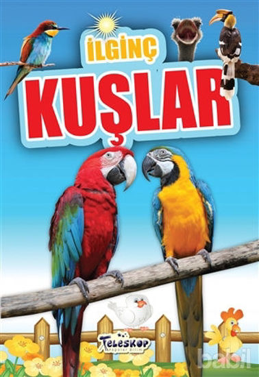 Picture of İlginç Kuşlar