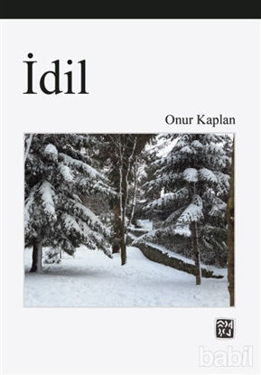 Picture of İdil