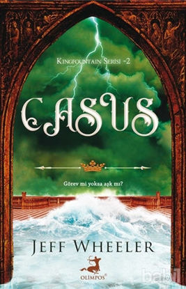 Picture of Casus