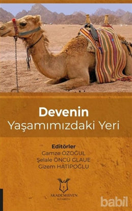 Picture of Devenin Yaşamımızdaki Yeri