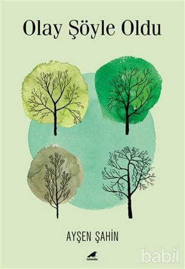 Picture of Olay Şöyle Oldu