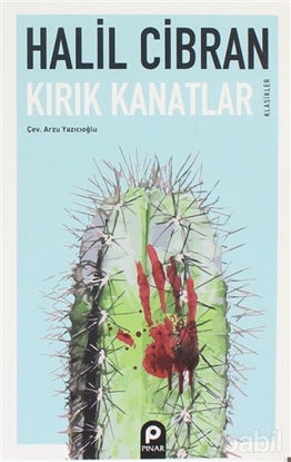 Picture of Kırık Kanatlar