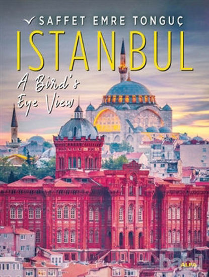 Picture of Istanbul A Bird's Eye Viev