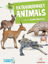 Picture of Extraordinary Animals