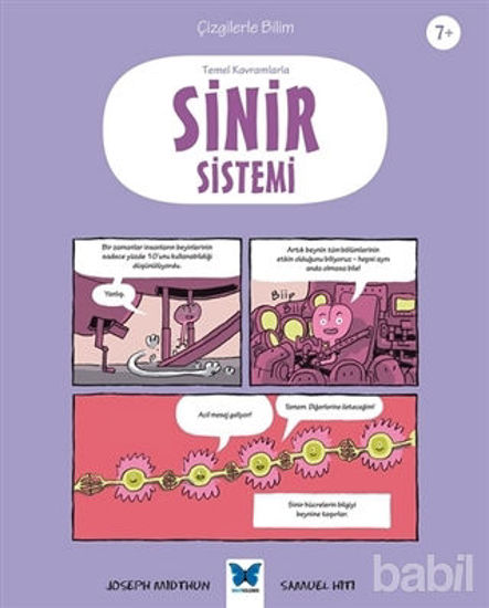 Picture of Temel Kavramlarla Sinir Sistemi