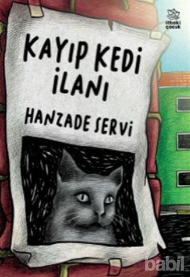 Picture of Kayıp Kedi İlanı