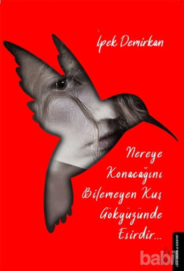 Picture of Nereye Konacağını Bilmeyen Kuş Gökyüzünde Esirdir