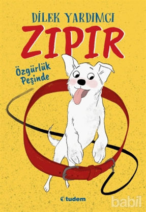 Picture of Zıpır Özgürlük Peşinde
