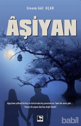 Picture of Aşiyan