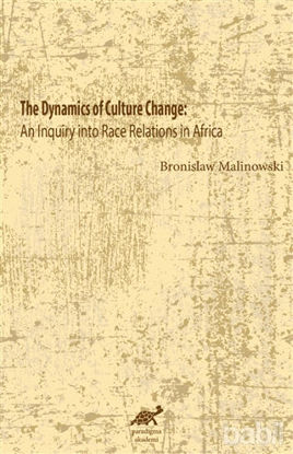 Picture of The Dynamics Of Culture Change
