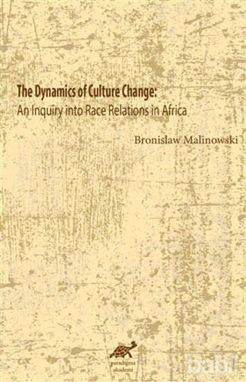 Picture of The Dynamics Of Culture Change