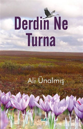 Picture of Derdin Ne Turna
