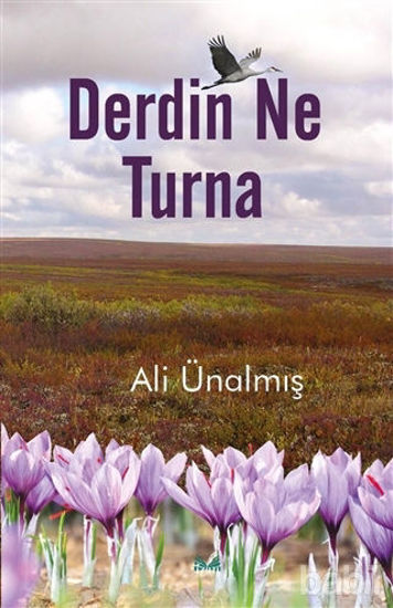 Picture of Derdin Ne Turna