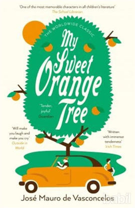 Picture of My Sweet Orange Tree