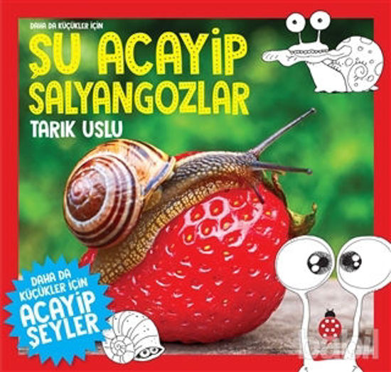 Picture of Daha da Küçükler İçin Şu Acayip Salyangozlar