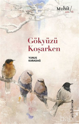 Picture of Gökyüzü Koşarken