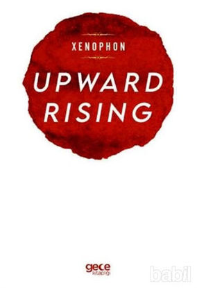 Picture of Upward Rising