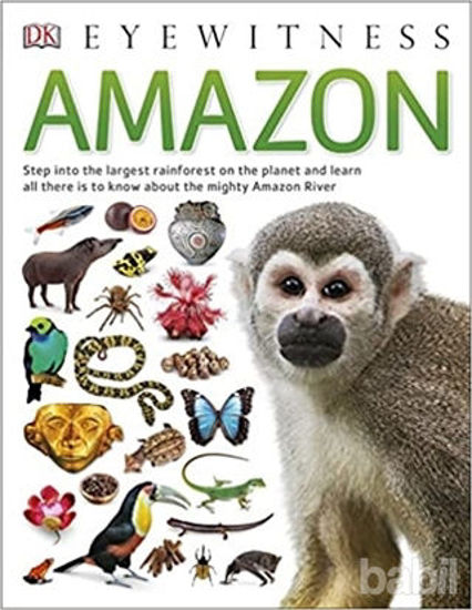 Picture of Amazon